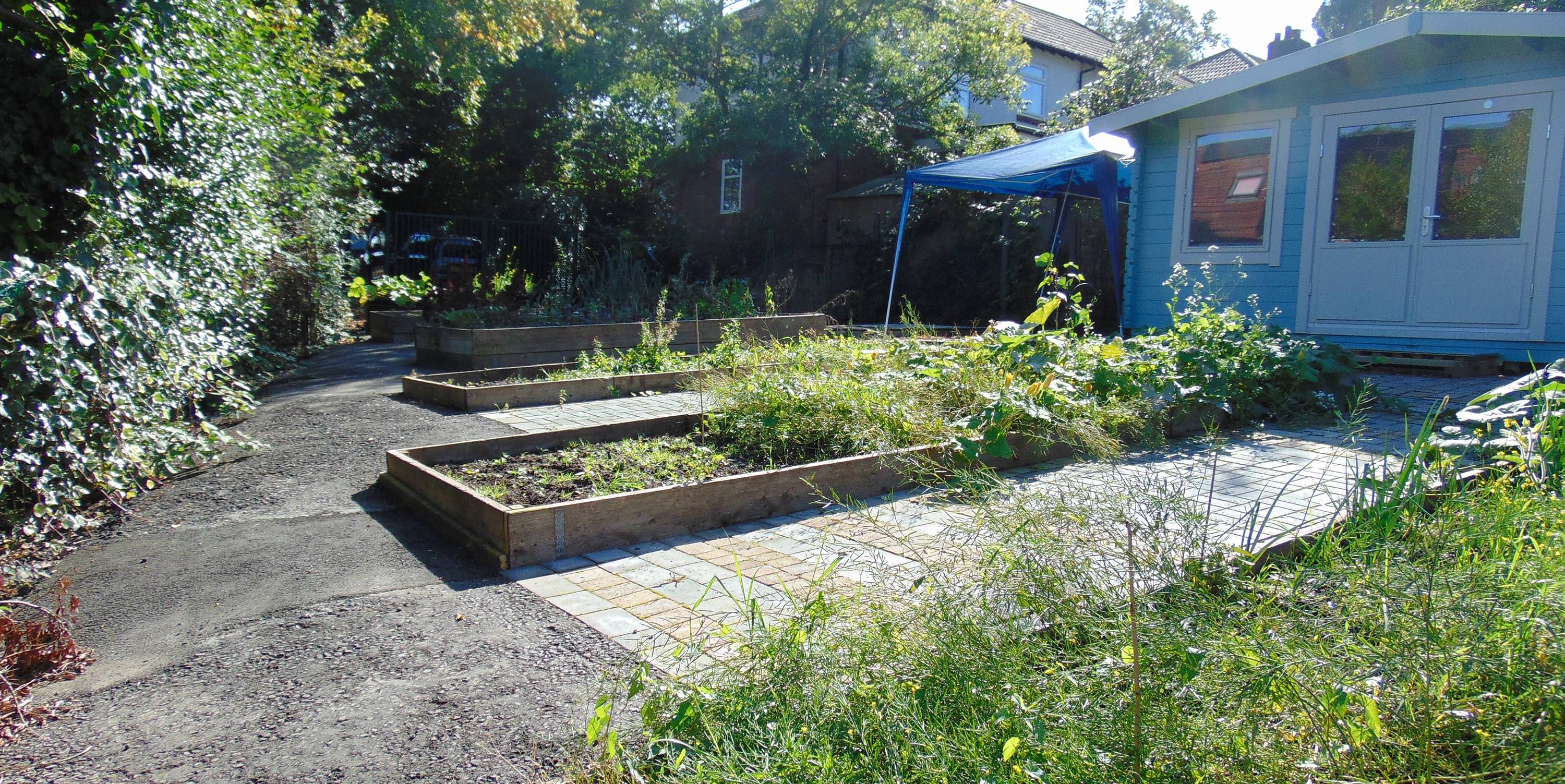 Woodley Allotments